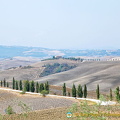Hilly countryside of Val d'Orcia