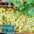 Moscato grapes from Puglia