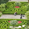 Beautiful hedge design