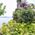 Another beautiful garden view