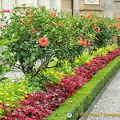 Isola bella garden colours