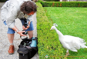 Tony answering photography questions from this peacock