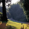 Isola Madre gardens