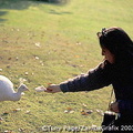 Me feeding the peacock on Isola Madre