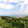 Monte Cassino Panorama