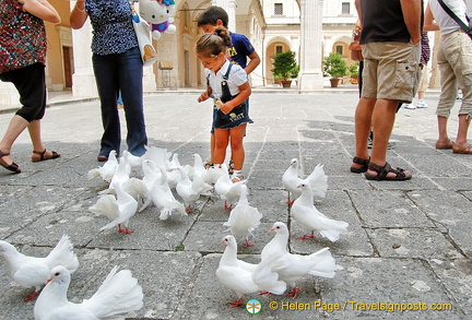 Kids enjoying feeding the fantail doves