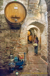 Contucci wine cellar