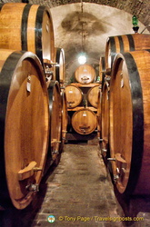 Giant casks of Contucci wines