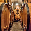 Giant casks of Contucci wines