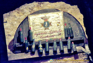 Ancient bottles of Contucci wines in the dungeon