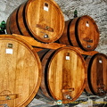 Barrels of Contucci wines
