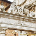 Coat of arms of the Medici's. The lions represent Florence and the griffins represent Montepulciano