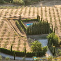 A tree nursery and a private pool