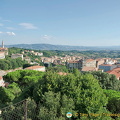 Panoramic view