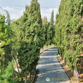 Road out of Pienza