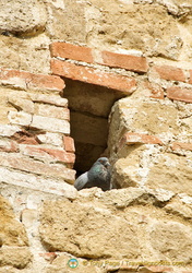 A pigeonhole