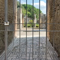 Some very well preserved Pompeii mosaics