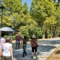 Walking to the Pompeii ruins