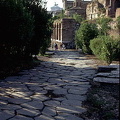Via Sacra, The Forum, Rome [Rome - Italy]