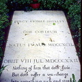 Grave of Shelley