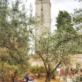 One of the San Gimignano towers