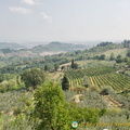 View of San Gimignano countryside and vineyards