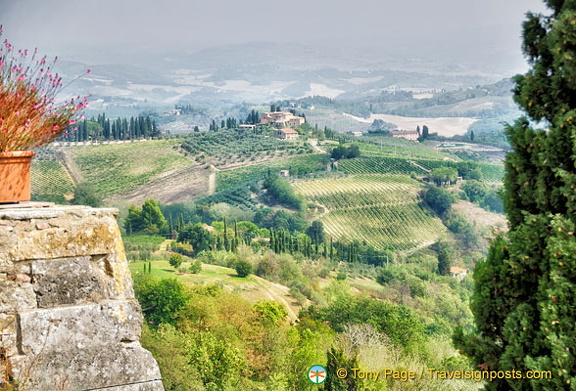 San Gimignano vineyards and countryside