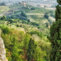 San Gimignano vineyards and countryside