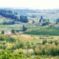 San Gimignano vineyards and countryside