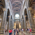 Siena Cattedrale nave