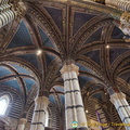 Siena Cattedrale vault