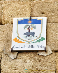Emblem of the Contrada della Selva (the woodland)
