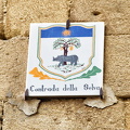 Emblem of the Contrada della Selva (the woodland)