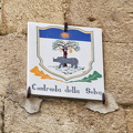 Contrada della Selva emblem has a rhinoceros at the foot of an oak tree