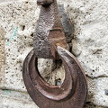This no doubt belongs to the Contrada del Montone