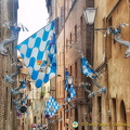Flags of the Contrada of the Capitana dell'Onda