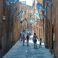 Streets of Siena decorated with flags of Onda who won the July 2012 Palio di Provenzano