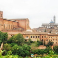 Skyline of Siena