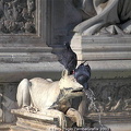 Pigeons drinking from the water spouting out of the dog's mouth at the fountain in the Piazza del Campo (2247 külastust) Pigeons drinking from the water spouting out of the dog's mouth at the fountain in the Piazza del Campo