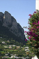 Isle of Capri 