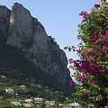 Isle of Capri 