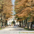 Viale Garibaldi