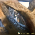 View from the Bridge of Sighs