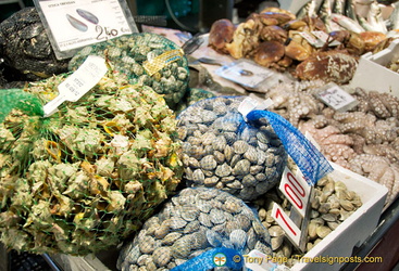Bags of vongole and garusoli murici (sea snails)