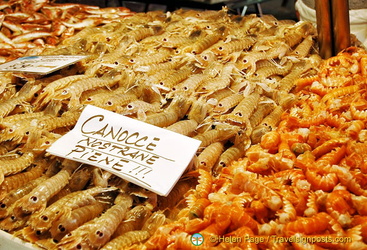 Canocce (mantis shrimps) is common on restaurant menus