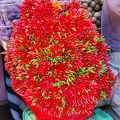 Decorative bunches of chilli