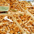 Mushrooms from the Treviso region