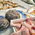 Range of seafood