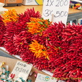 Bunches of chillis
