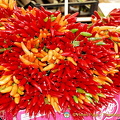 Colourful bunches of chilli